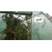 Záhradný fóliovník 4m x 1,5m x 2m GARDEN LINE - TUN1439