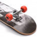 Skateboard Meteor drevený 22644 