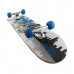 Skateboard Speed NILS Extreme CR3108SB