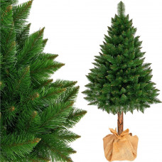Vianočný stromček borovica na pni 190 cm SPRNGOS CT0044