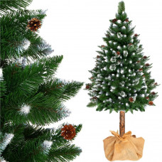 Vianočný stromček borovica diamantová 220 cm SPRNGOS CT0046