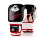 Boxerské rukavice DBX BUSHIDO DBD-B-2 v3  