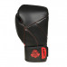 Boxerské rukavice DBX BUSHIDO B-2v15 - 10oz
