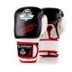 Boxerské rukavice BUSHIDO DBD-B-2 v3